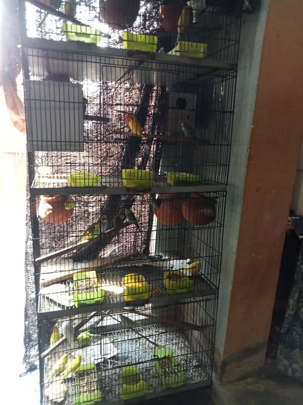 bird with cage 14 pair 0