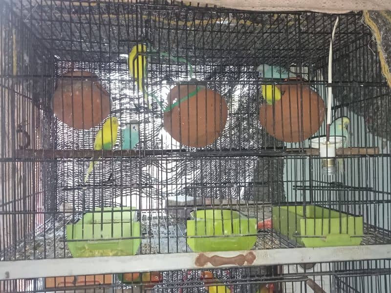 bird with cage 14 pair 4