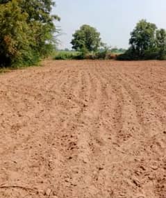 Spacious 7.5 Kanal plot available for Farming or Housing