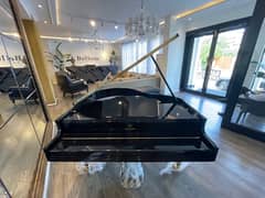 Bassclef Grand Piano/Grand Piano/pool table/sofa/billiards/keyboards