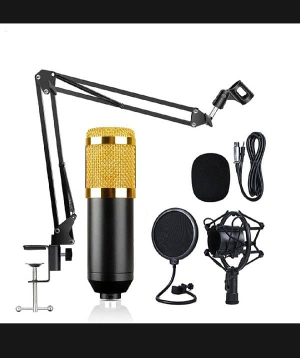 Microphone Condenser 1