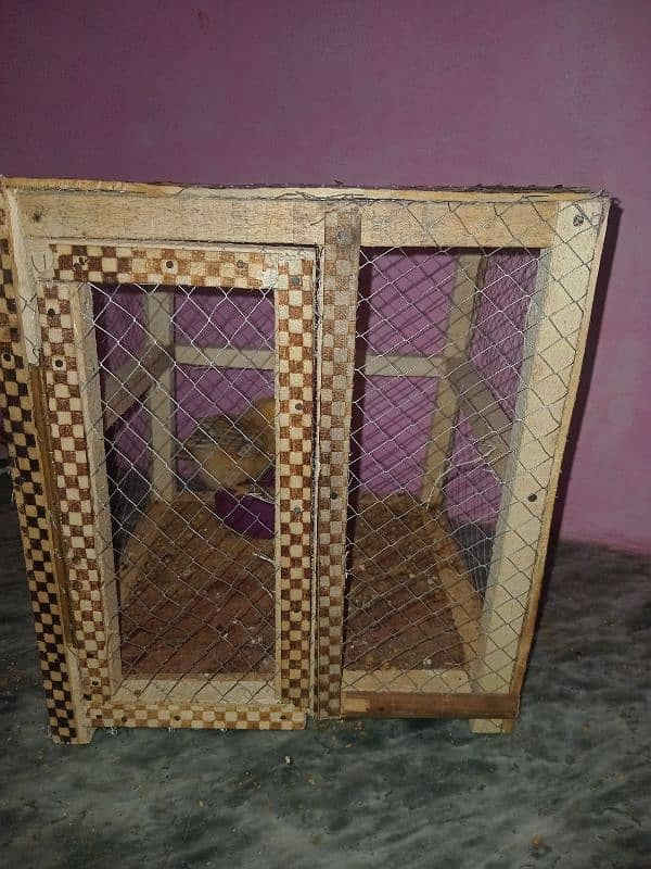 Desi chick with cage (only cage bhi sale keliye he) 2