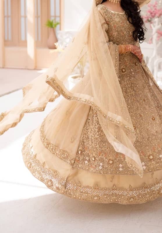 Bridal Maxi, Lehnga, maxi, bridal lehnga 2