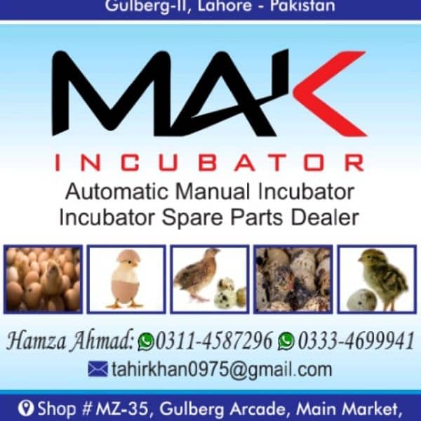 Eggs incubator of All kind 4