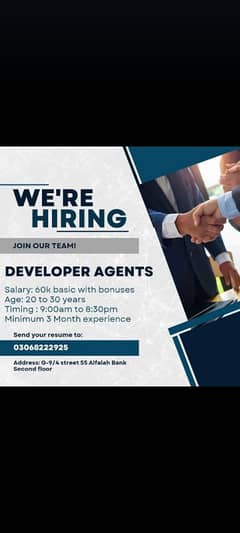 Developer Agent