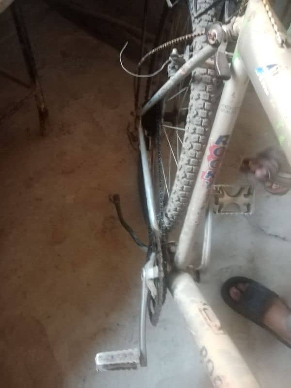 bicycle for sale 5