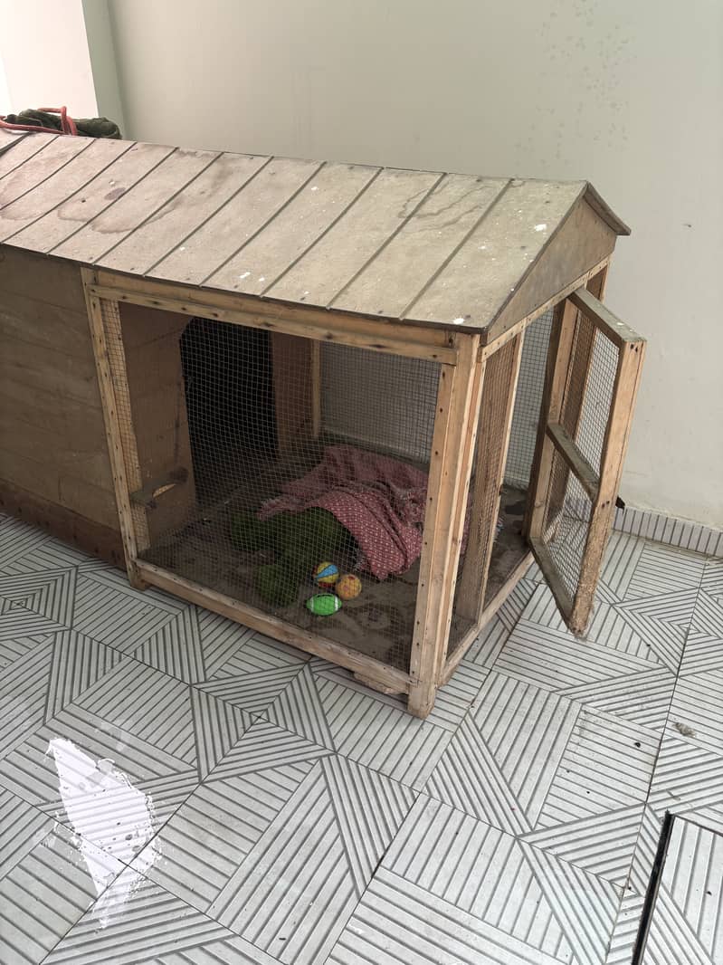 Dog house 1