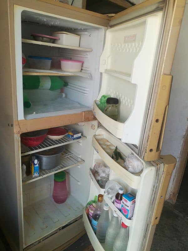 frige 3