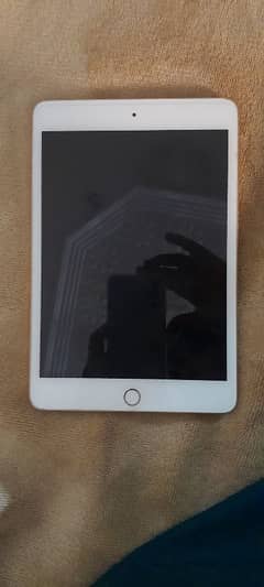 ipad mini 5