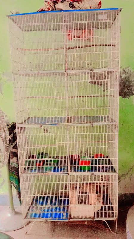 cage for birds, cage , 8 portion cage, fisher cage , cage, birds cage, 1