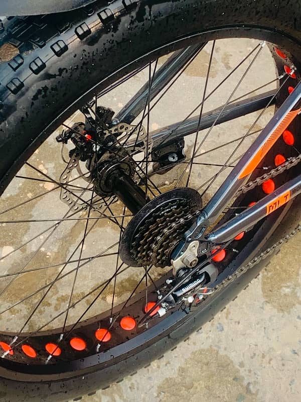 MORGAN FAT BIKE 7Speed 2