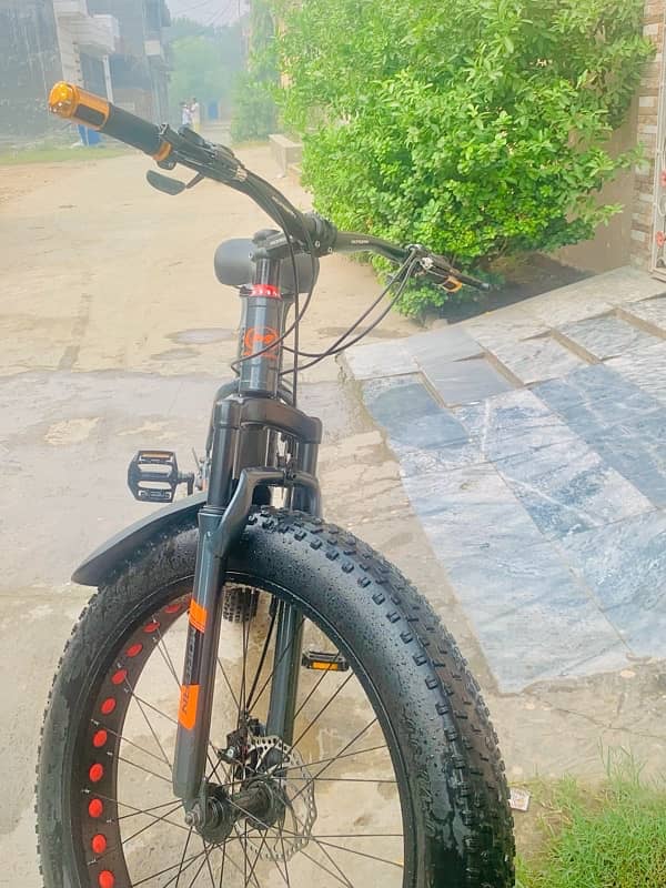 MORGAN FAT BIKE 7Speed 3