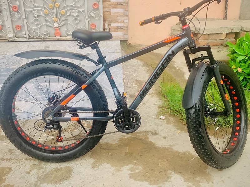 MORGAN FAT BIKE 7Speed 4