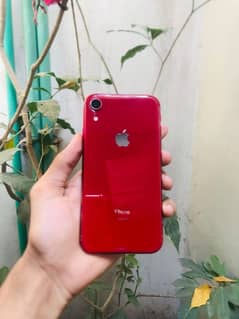 IPhone Xr Exchange Possible