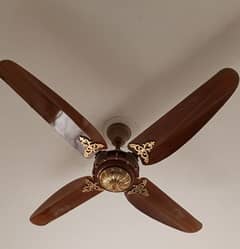 ceiling fan for sale