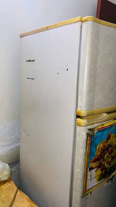 PEL Refrigerator Medium size