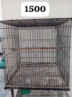 good condition for all cages