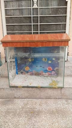 Fish Aquarium for sale 8/10 condition