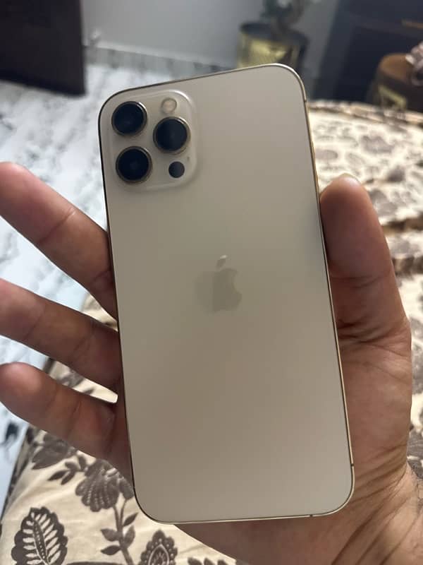 iphone 12 pro max 256gb golden non pta 1