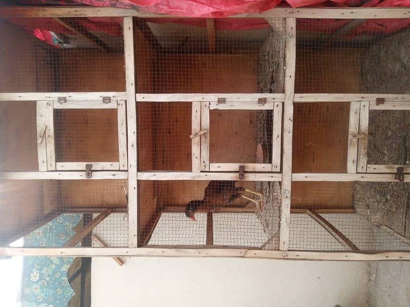 3 portion hen cage full size 0