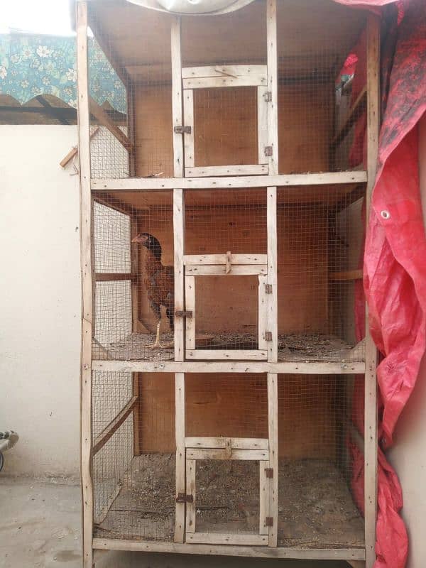 3 portion hen cage full size 2