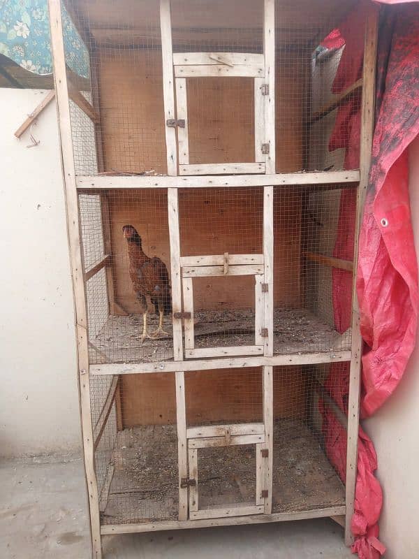 3 portion hen cage full size 5