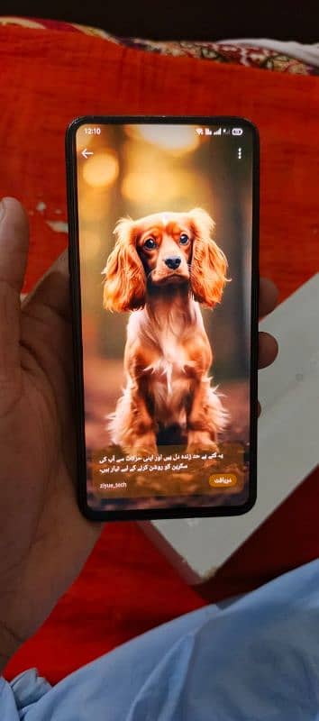 Oppo Reno 2 7