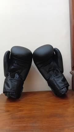 Boxing glooves