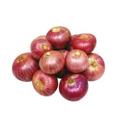 Onion