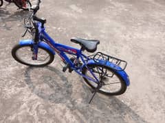 10 to 13 years old kids cycle