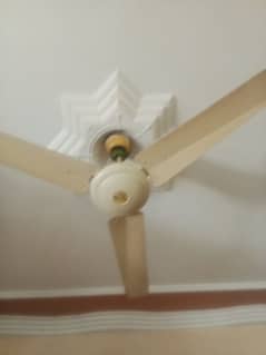 fan for sale