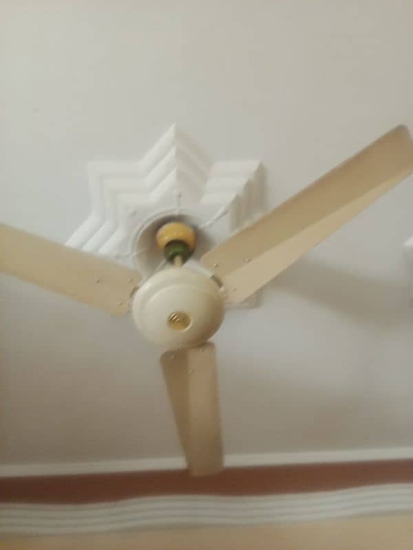 fan for sale 1