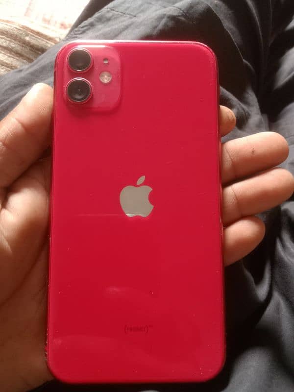 iphone 11 panel change ha 0