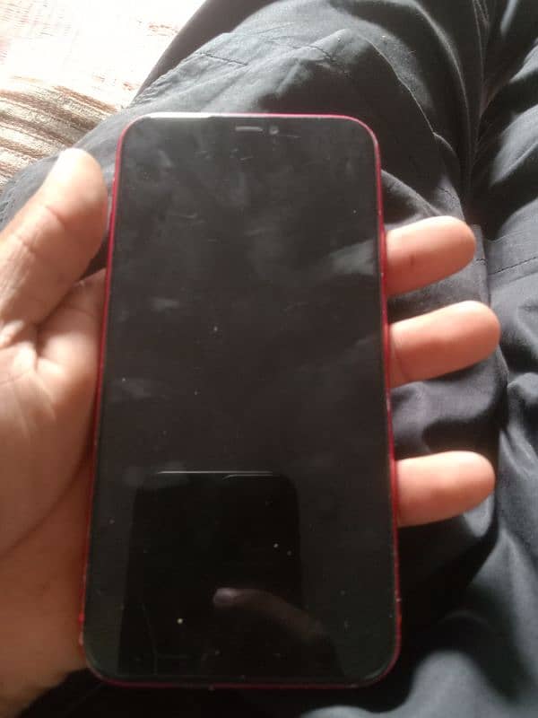 iphone 11 panel change ha 1