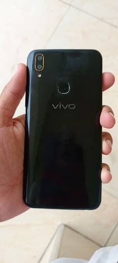 vivo