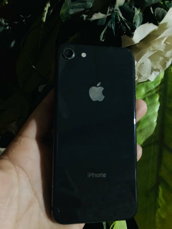 iphone 8 256gb non pta exchange possible 6