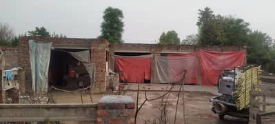 1 Kanal Cattle Farm For Rent Near Adda Plot Raiwind Raod Lahore