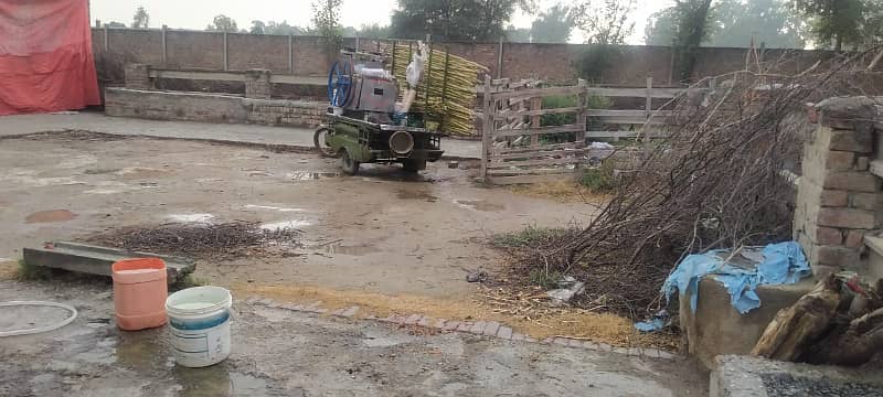 1 Kanal Cattle Farm For Rent Near Adda Plot Raiwind Raod Lahore 3