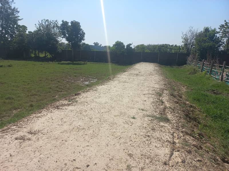 1 Kanal Cattle Farm For Rent Near Adda Plot Raiwind Raod Lahore 5