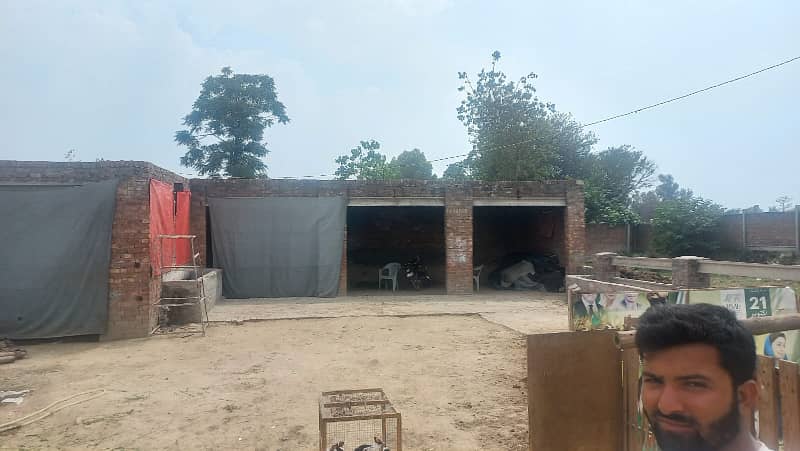 1 Kanal Cattle Farm For Rent Near Adda Plot Raiwind Raod Lahore 9