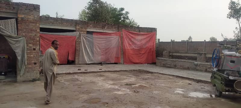 1 Kanal Cattle Farm For Rent Near Adda Plot Raiwind Raod Lahore 10