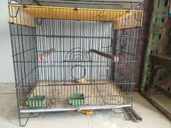 Parari Ring Neck Folding Cage