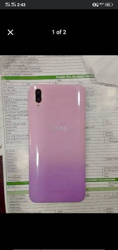 vivo