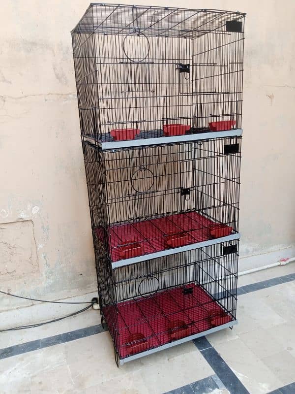 Folding cage 4