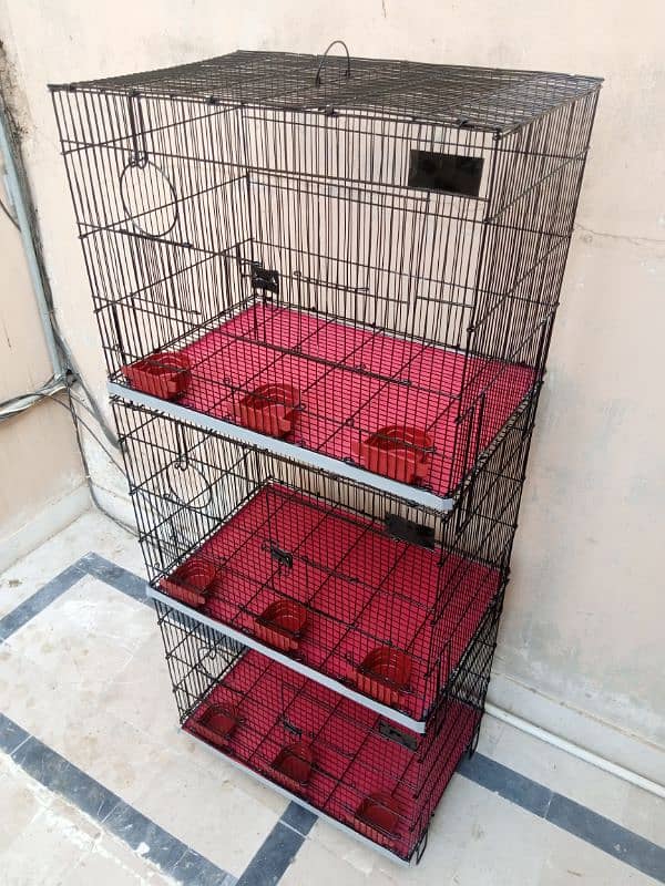 Folding cage 6