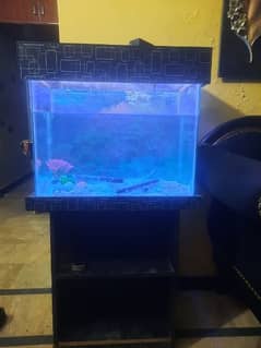 Fish Aquarium for sale.