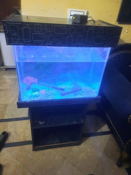 Fish Aquarium for sale. 1