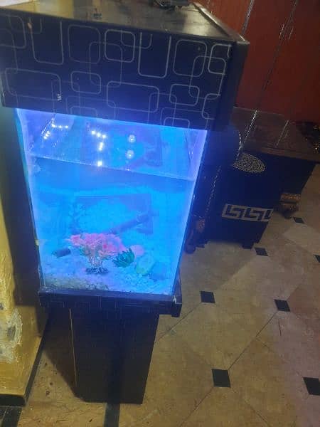 Fish Aquarium for sale. 2