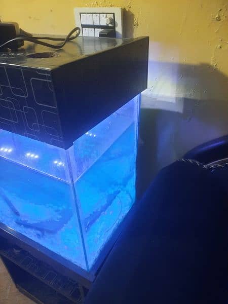 Fish Aquarium for sale. 3