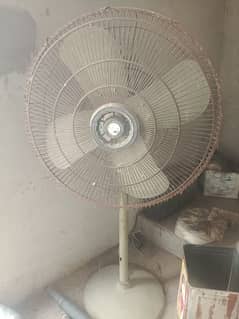 pedestal. fan